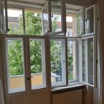 Profile Picture of Fensterreinigung David Nitz (@glasreinigung.david.nitz) on Instagram