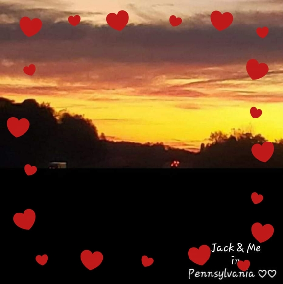 Profile Picture of Annemarie Gullo (@stones91364) on Poshmark