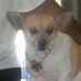 Profile Picture of Herschel Vaughn (@herschel.vaughn.96) on Facebook