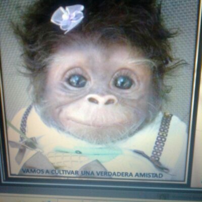 Profile Picture of Claudia Ledesma (@claudialedesma6) on Twitter