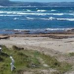 Profile Picture of Tarryn Thomas (@crystalcmaille) on Instagram