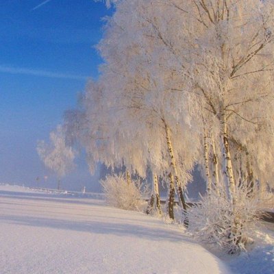 Profile Picture of Mariusz Chudecki (@MariuszChudecki) on Twitter