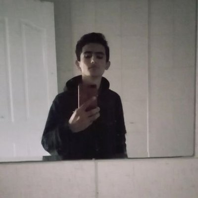 Profile Picture of Komadaki Martı (@realist_adam__) on Twitter
