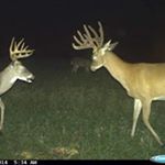 Profile Picture of Isaiah Huff (@huff_isaiah) on Instagram