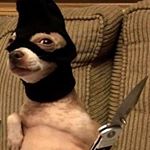 Profile Picture of chase money , not niggas✍🏽💰! (@iamm._blackanese) on Instagram