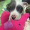 Profile Picture of Kim Gasser (@kim.gasser.3) on Facebook