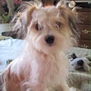 Profile Picture of Sherrill Suitt Craig (@@2159624539) on Tiktok