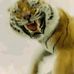 Profile Picture of Boyce Hight (@boyce.hight.9) on Facebook