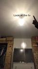 Profile Picture of   𝓛𝓐𝓒𝓔𝓨(@x_laceygracie_x... (@x_laceygracie_x) on Tiktok