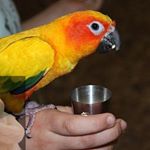 Profile Picture of averettbrian6546 (@averettbrian6546) on Instagram