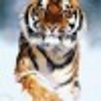 Profile Picture of Oscar Riddle (@asogrlli) on Twitter