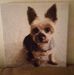 Profile Picture of Marcy Potts (@marcy.potts.10) on Facebook