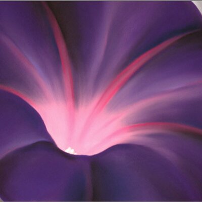 Profile Picture of Craig Braunschweig (@itsecological1) on Twitter