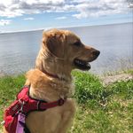 Profile Picture of Heidi Bennett (@heidibennett920) on Instagram