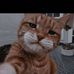 Profile Picture of Dadas (@Dadas) on Facebook