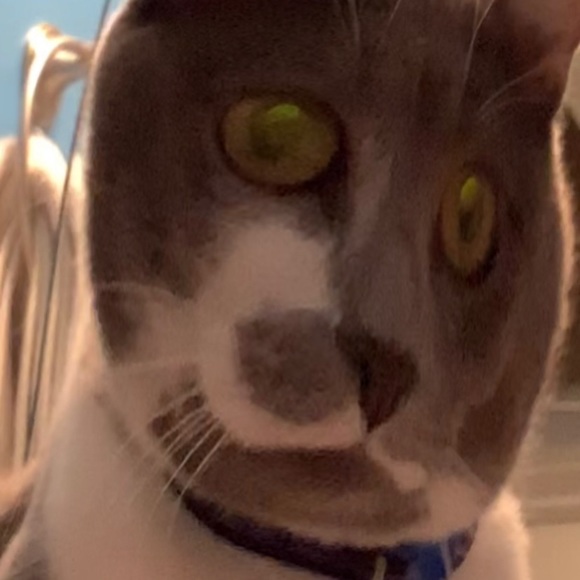 Profile Picture of Jackson Thomas (@jacksonthoma615) on Poshmark