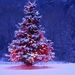 Profile Picture of Tina Rutter (@rutter1101) on Pinterest