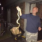 Profile Picture of Michael Peek (@mpeek8209) on Instagram