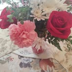 Profile Picture of Allison Stilinsky (@Allison-Stilinsky) on Facebook