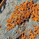 Profile Picture of JoHannah Hatley (@johannahhatley) on Instagram