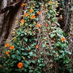 Profile Picture of Casey Winkleman (@casey_winkleman) on Instagram