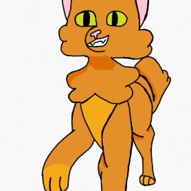 Profile Picture of Sam McCauley (@SamMcCauley8) on Twitter