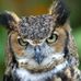 Profile Picture of Adam Routt (@adam.routt.790) on Facebook