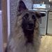 Profile Picture of James Gendron (@gendron2690) on Pinterest