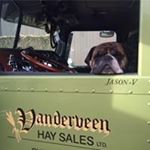 Profile Picture of Jason Vanderveen (@javaman379) on Instagram