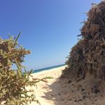 Profile Picture of Claudia Pohlmann-Krieft (@claudiapohlmannkrieft) on Instagram