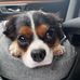 Profile Picture of Thomas Markovich (@thomas.markovich.9) on Facebook