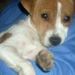 Profile Picture of Sandy Rimmer (@strangesandy) on Pinterest