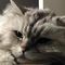 Profile Picture of Tabitha Smith (@Tabitha-Smith) on Facebook