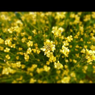 Nelson Kraig - Twitter Profile Picture of Nelson Kraig (@NelsonKraig475) on Twitter