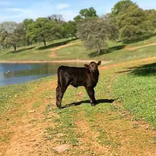 Profile Picture of Cody Eberhardt (@Cody-Eberhardt) on Facebook