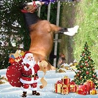 Profile Picture of Janette Roberts (@janette-roberts-13) on Quora