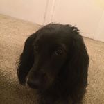 Profile Picture of Tony Hannigan (@tony.hannigan.509) on Instagram