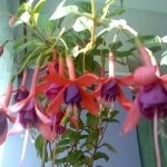 Profile Picture of Guzman Blake (@guzman_blake) on Instagram