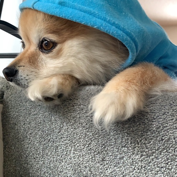 Profile Picture of Atsuko Tanaka (@zuzucloset) on Poshmark