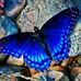 Profile Picture of Paul Vandenburg (@paul.vandenburg.980) on Facebook
