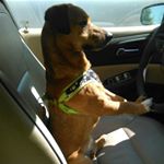 Profile Picture of Miranda Skinner (@skinner_miranda) on Instagram