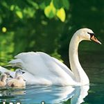 Profile Picture of Lakshmi Pandey (@laks271) on Instagram