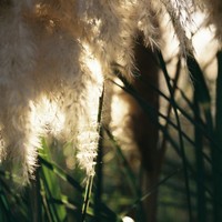 Profile Picture of Helet Botha (@helet-botha-1) on Quora