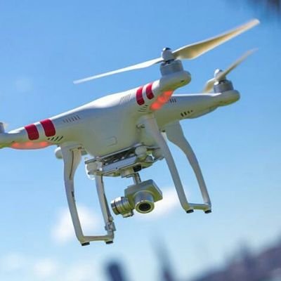 Profile Picture of Joyce Pierce (@Skyfoxphoto1) on Twitter