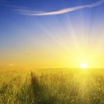 Profile Picture of Jeffrey Riley (@wwwocls12) on Instagram