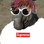 Profile Picture of Conner Stringfellow (@chad_the_african_bullfrog) on Instagram