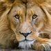 Profile Picture of Daniel Sakala (@daniel.sakala.543908) on Facebook