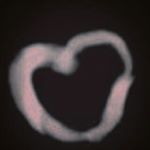 Profile Picture of Lennon & Amelia (@lamelian325) on Instagram