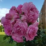 Profile Picture of Heidi Makowski (@heidi.makowski.9) on Facebook