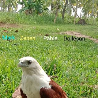 Profile Picture of Mark Zenen Dolleson (@markzenen.dolleson.9) on Facebook